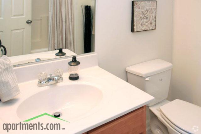 Baño - The Pointe at Peters Creek