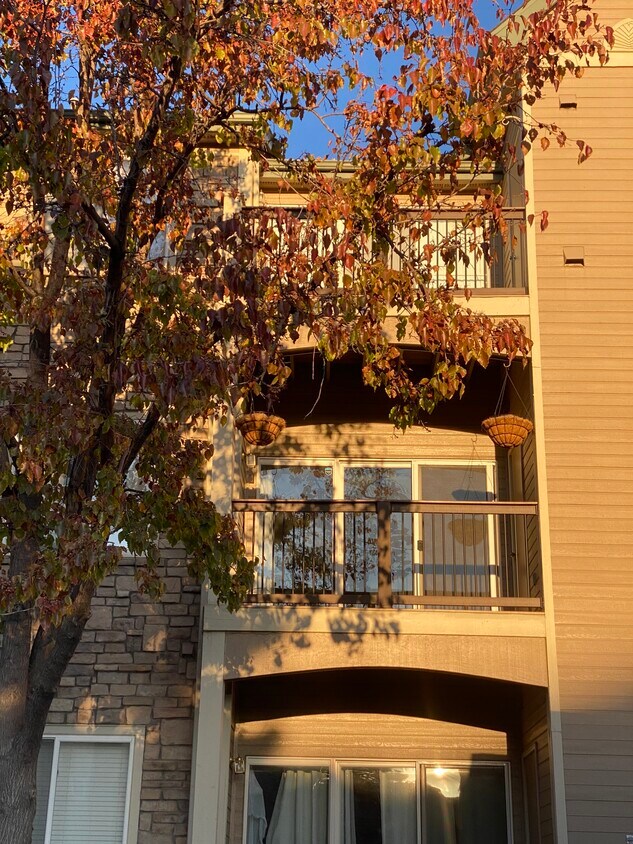 7349 S Alkire St Unit 203, Littleton, CO 80127 Condo for Rent in