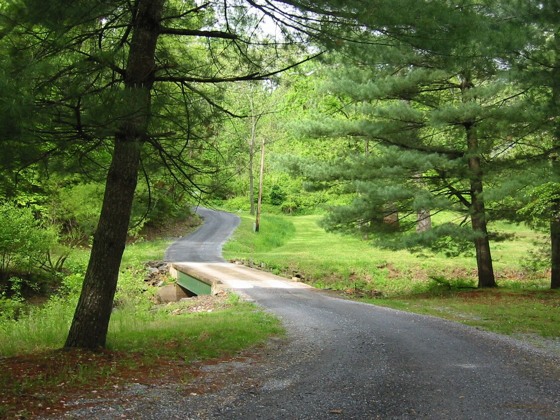Only a mile off of U.S. 29, the entrance to our property is beautiful! - 391 High Peak Rd