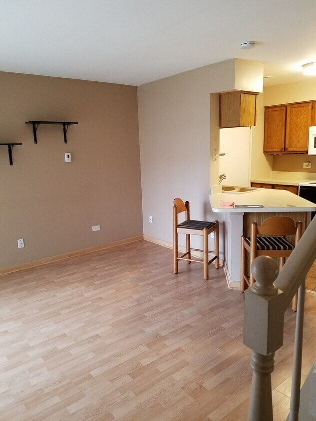 Living room - 1313 E Wyndham Cir