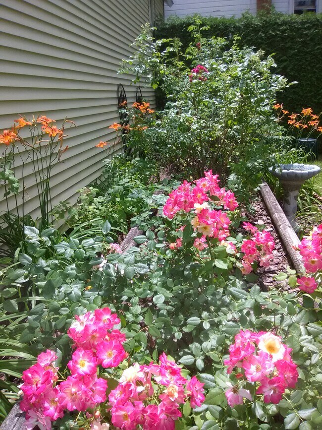 34 Broad St, Plattsburgh, NY 12901 34 Broad St Plattsburgh, NY