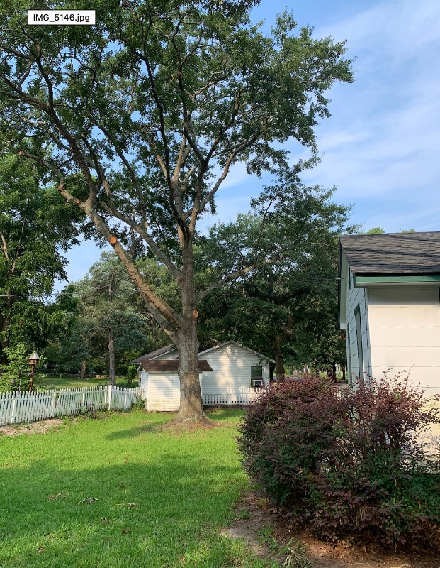 Foto del edificio - 709 Collins St