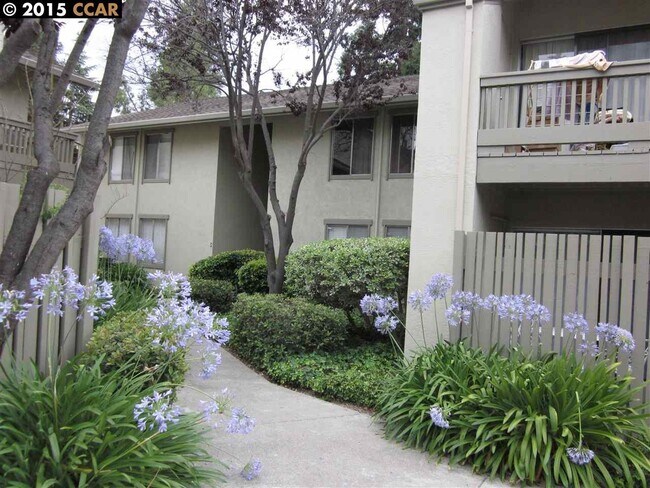 Building Photo - 2 Bed 2 Bath Condo In Walnut Creek