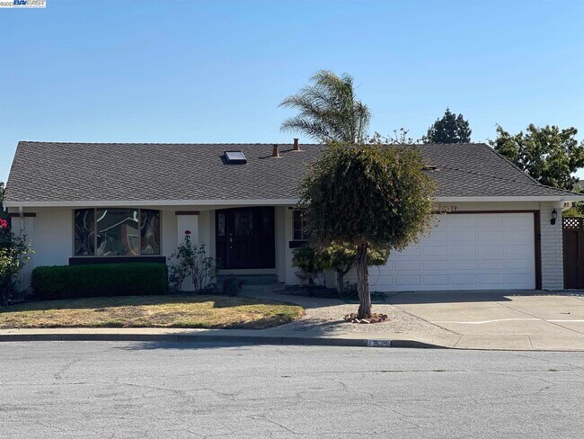 Building Photo - 3129 Fairfax Ct