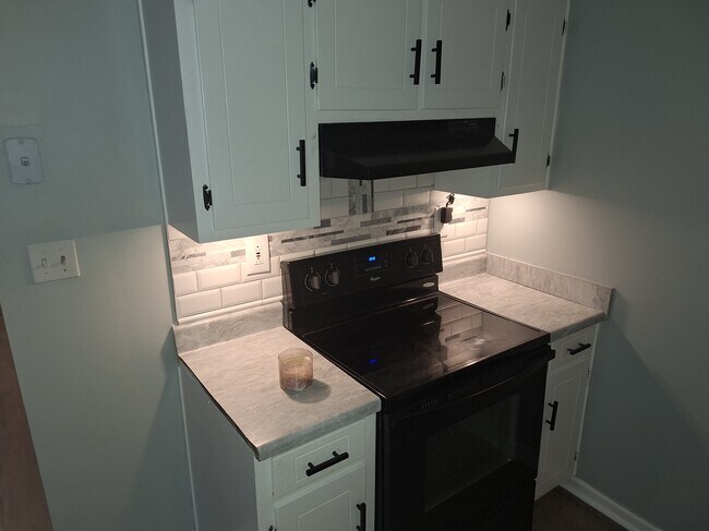 Kitchen - 1962 Alpine Ct NW