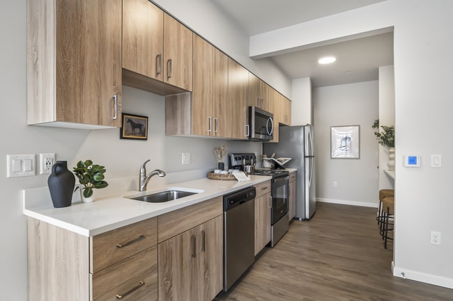 JH5_1377.jpg - The Veridian