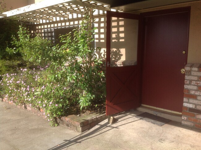 Front door from the patio - 101 Granlee Rd