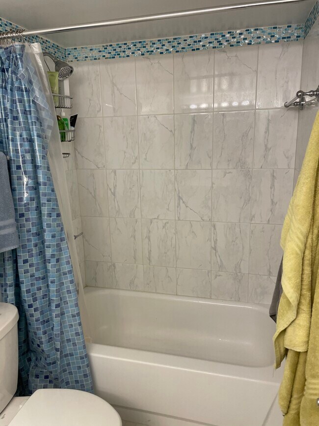 Bathroom; tub and shower - 3110 N Sheridan Rd