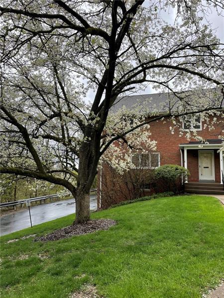 Foto del edificio - 762 Robinwood Dr