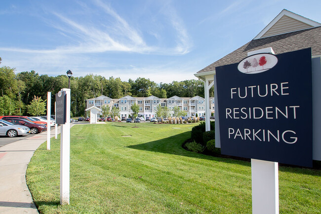 Building Photo - The Arbors at Brighton Park