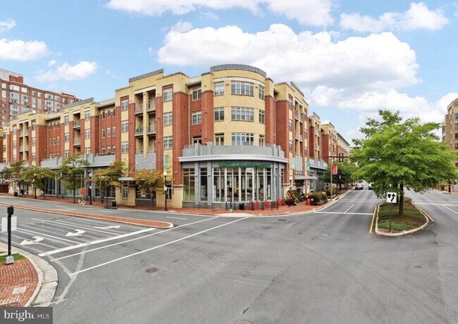 Foto del edificio - 309 Holland Ln