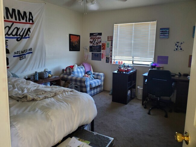 Building Photo - 1728 N Santa Rita Ave