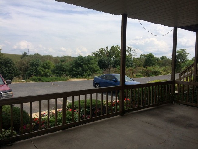 Building Photo - 201 Weeping Willow Ln
