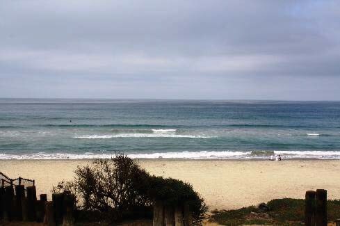 Ocean View - 1318 S Pacific St