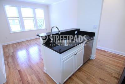 Primary Photo - 1 bedroom in Cambridge MA 02138