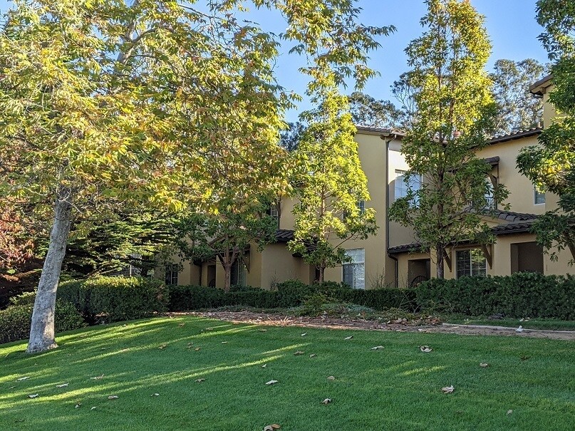 Primary Photo - 1150 Spring Azure Way