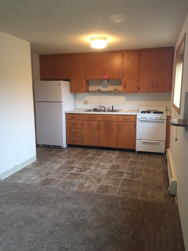 Building Photo - Mille Lacs Manor Apartments