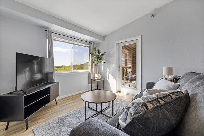 1 Bedroom 1 Bathroom - Harmony Heights