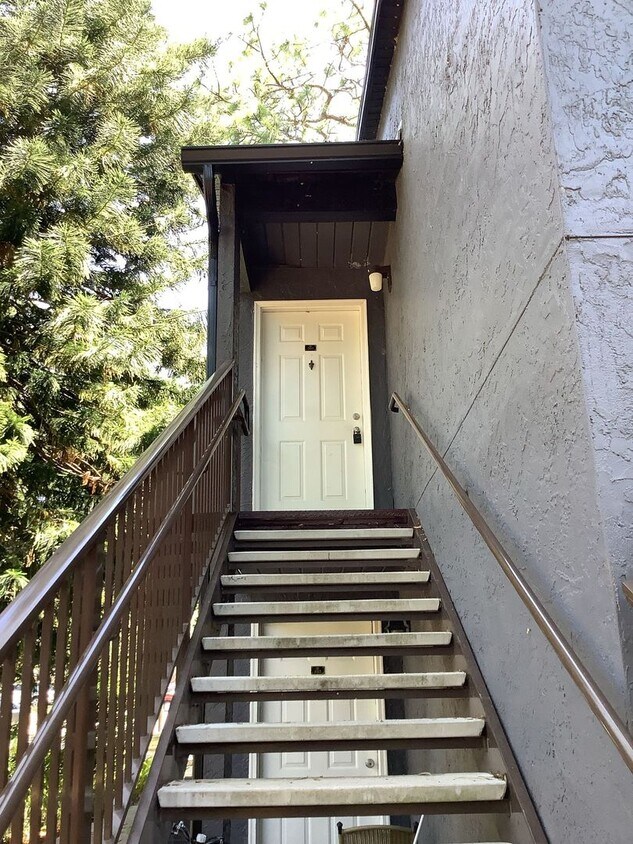 Primary Photo - Spacious 1BDRM Altamonte Springs Condo