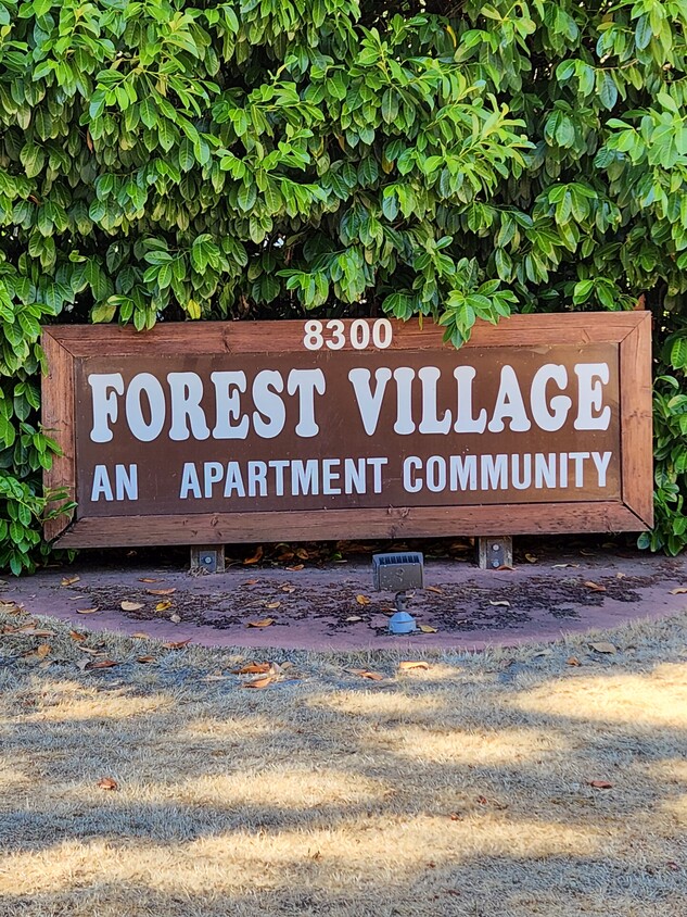 Primary Photo - Forest Village