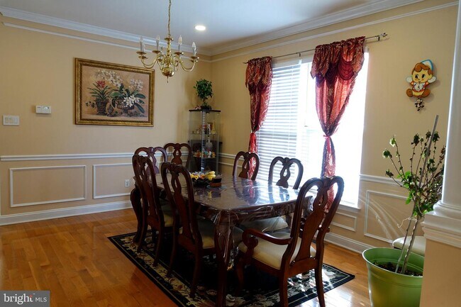Foto del edificio - 3 Mt Airy Dr