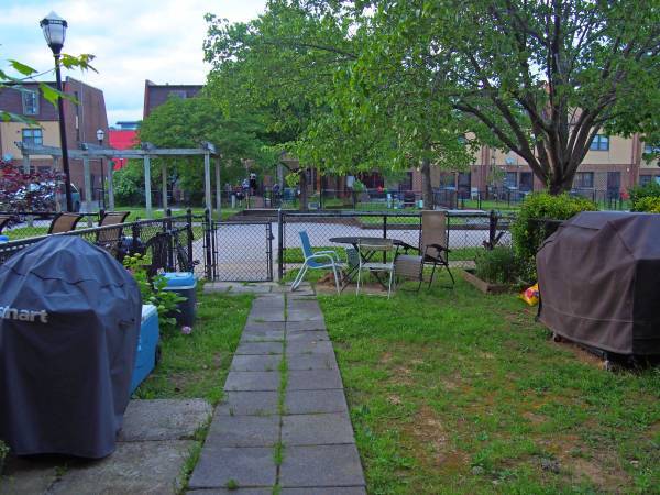 back yard - 1343 Riggs Street Northwest