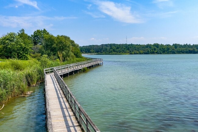 Boardwalk over Lake Gibson at Conservation Park