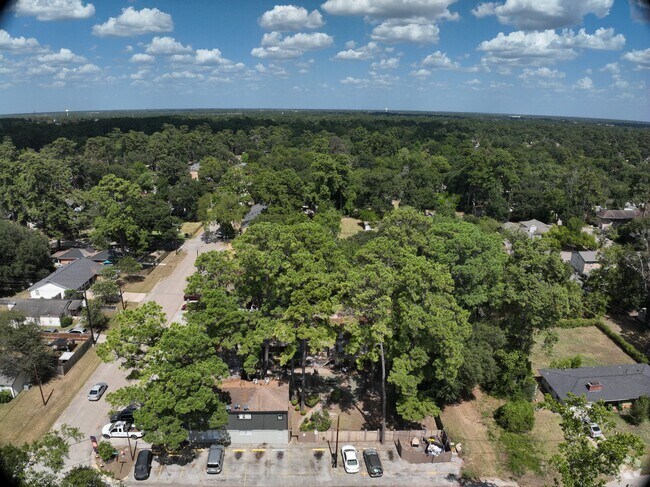 Exterior 3D - Tanglewood Conroe Apartments