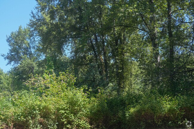 Cougar Mountain Regional Wildland Park near Newcastle has more than 3,000 acres to explore.