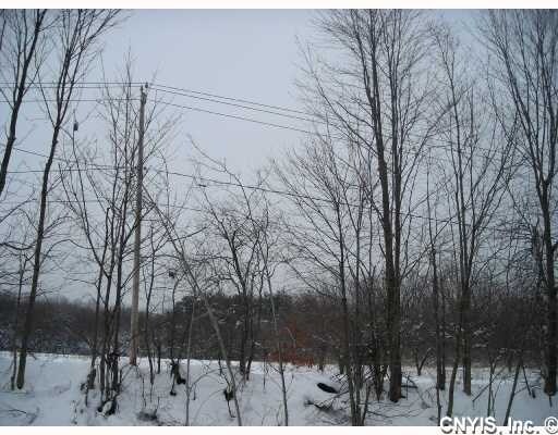 Side Yard - 8013 State Route 13