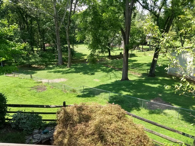 Backyard - 9321 Pennywise Ln