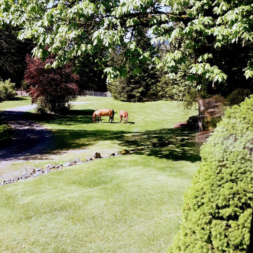 Vista sobre propiedad con seguridad - 15812 451st Ave SE