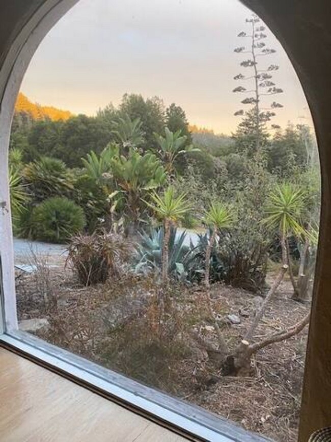 Vista desde la sala de estar - 3333 Fern Flat Rd