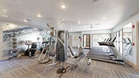 This fitness center offers a comprehensive workout environment designed to support a wide range of exercise routines. The space is anchored by a dramatic, large-scale abstract stone mural accent wall that serves as a bold visual centerpiece, adding an artistic and dynamic character to the room. Patterned carpet tile flooring in neutral tones of blue and gray runs throughout, providing both durability and a clean, modern aesthetic.

The facility is well-appointed with True-brand cardio equipment, including multiple treadmills and elliptical machines positioned along the perimeter to take advantage of the natural light streaming through the large windows. Strength training is comprehensively covered with a multi-station cable machine, a weight bench, a rack of dumbbells, medicine balls, and plate-loaded free weight equipment.

Ceiling fans are distributed throughout the space to promote air circulation, complementing the recessed lighting that ensures the room is evenly and brightly lit. A large wall mirror on one side of the room visually expands the space and allows users to monitor their form. Flat-screen televisions are mounted on the walls for entertainment during workouts. The space also includes a clearly marked entry and exit, a posted fitness guidelines sign, and a fire extinguisher, reflecting attention to both convenience and safety.