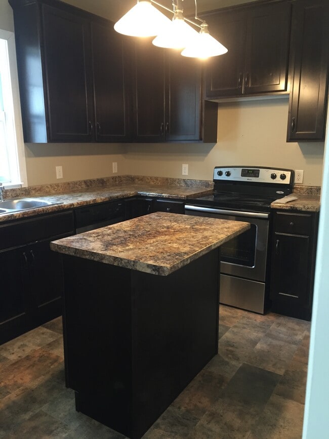 REMODLED KITCHEN WITH DISHWASHER AND BUILT IN MICRO WAVE - 733 17th Ave S