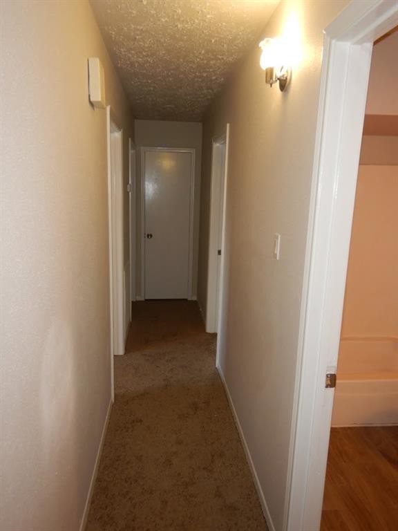 Foto del edificio - 3322 Knotty Oaks Trail