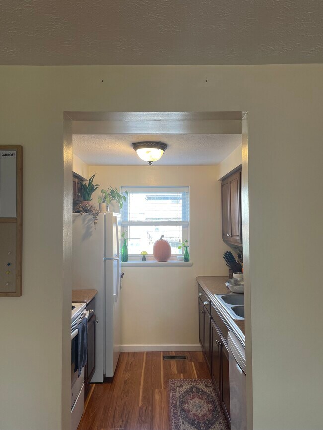 Cocina 1 - 505 Bayberry Ln