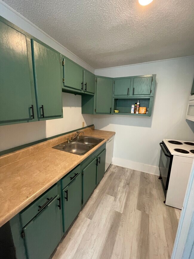 915 S 12th St, Wilmington, NC 28401 House Rental in Wilmington, NC