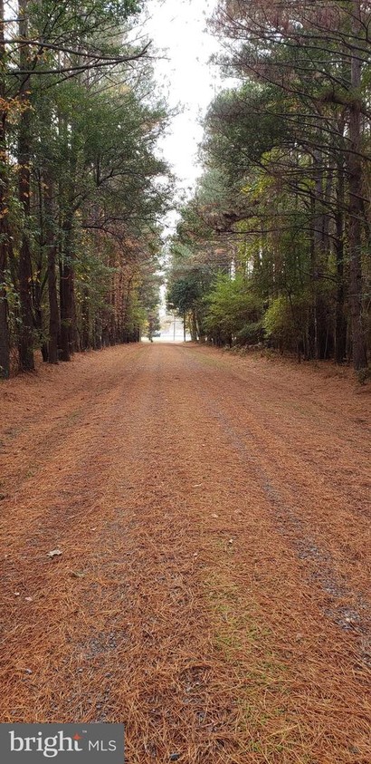 Primary Photo - 26279 Deep Water Harbor Rd