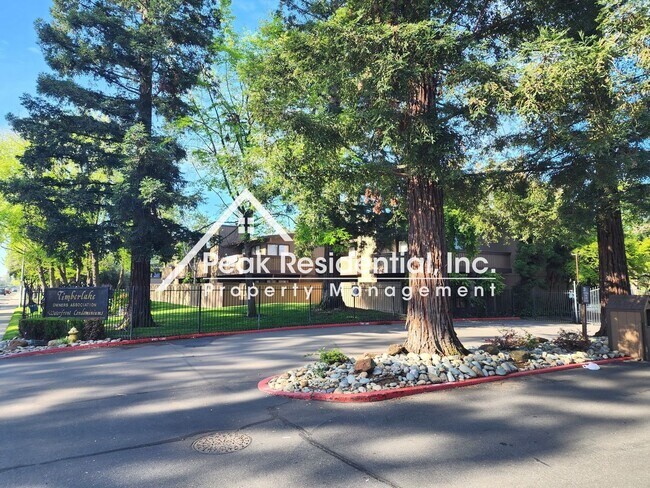 Foto del edificio - Updated Timberlake 1bd/1ba Condo - Near Sa...
