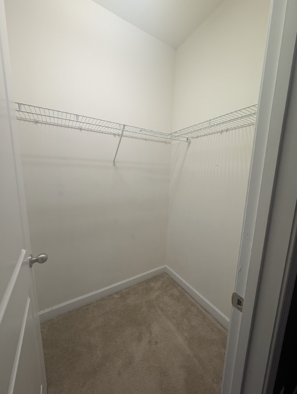 Building Photo - 4314 Connestee Ct