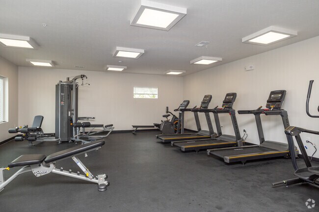 Gimnasio totalmente equipado - EOS75