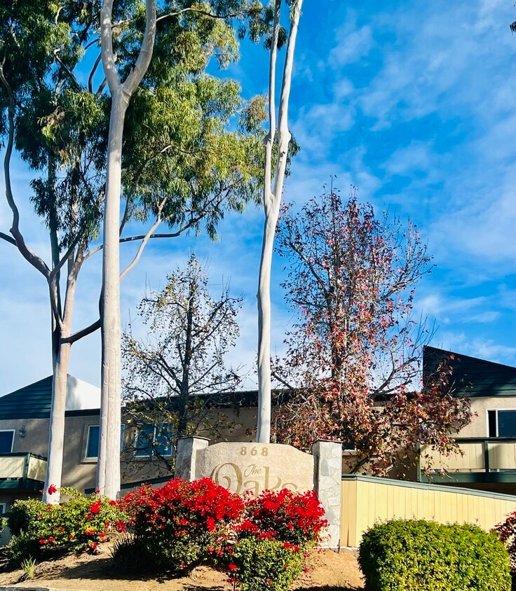 868 E Alvarado St Unit 36, Fallbrook, CA 92028 Condo for Rent in