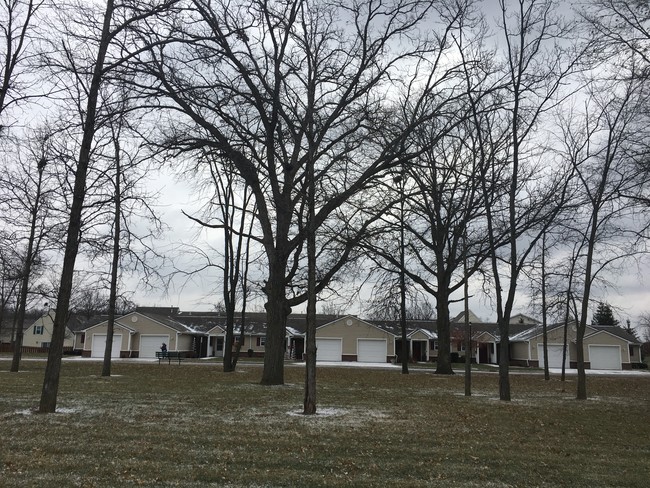 Árboles adultos - Villas of Wayne Trail (Senior 55+)