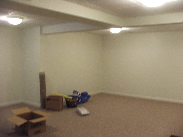 Basement rec room - 1710 E College St