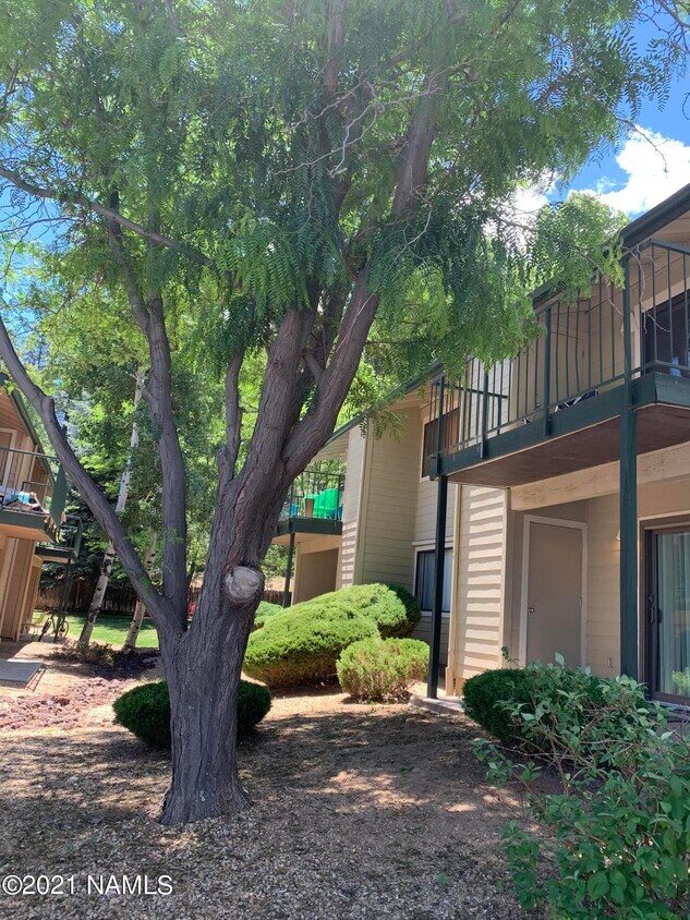 3200 S Litzler Dr Unit 3110, Flagstaff, AZ 86001 Condo for Rent in