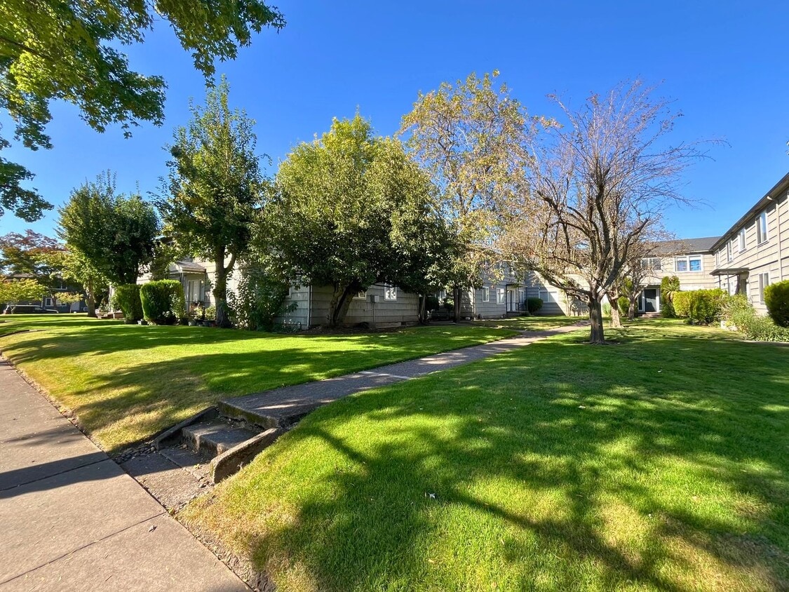 (UNM 355-11) 2 bed/1 bath Apartment - (UNM 355-11)  2 bed/1 bath Apartment