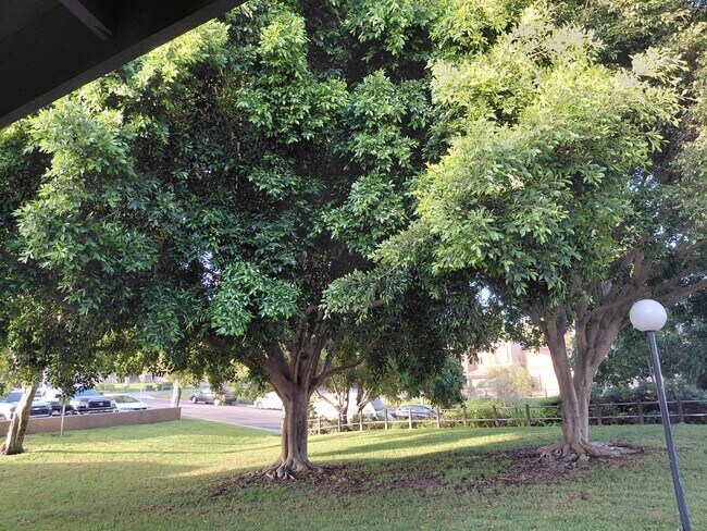 Foto del edificio - 1595 Mendocino Dr