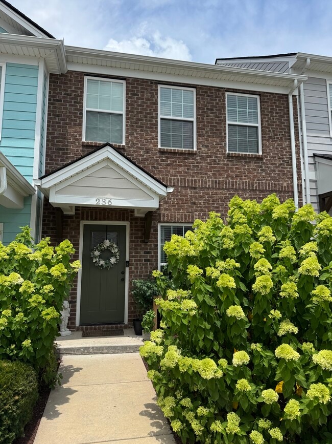 Building Photo - 236 Mansfield Dr