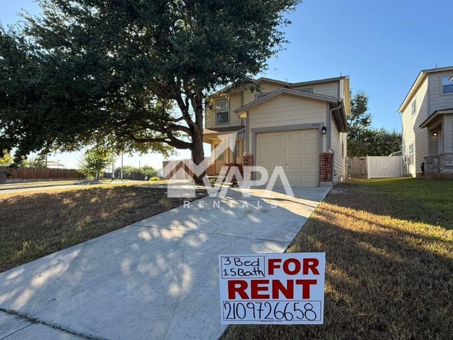 Building Photo - 9902 Hawksbill Peak